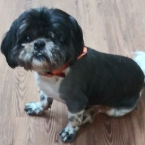 Meet your Posher, Holly nikki